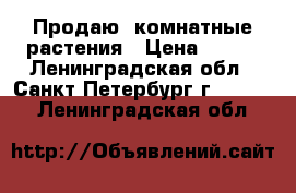 Продаю  комнатные растения › Цена ­ 150 - Ленинградская обл., Санкт-Петербург г.  »    . Ленинградская обл.